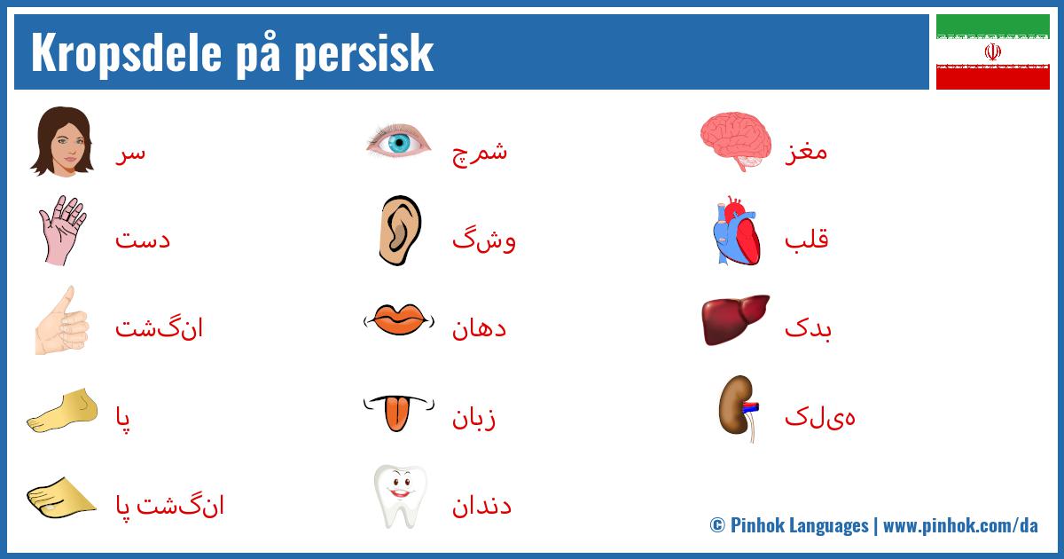 Kropsdele på persisk