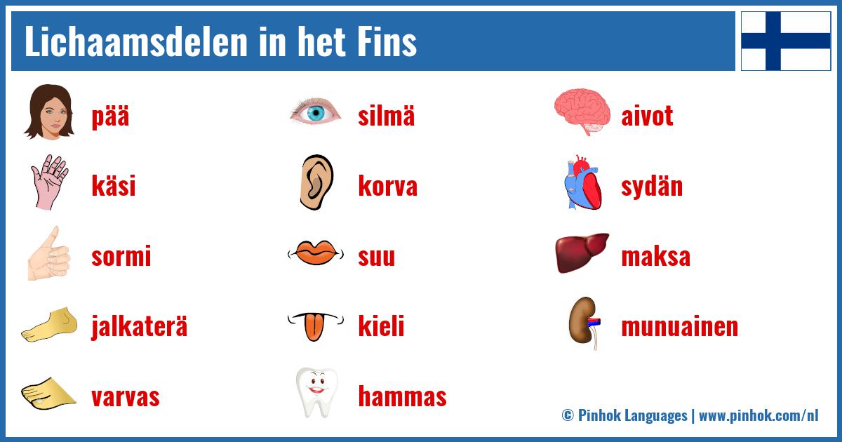 Lichaamsdelen in het Fins