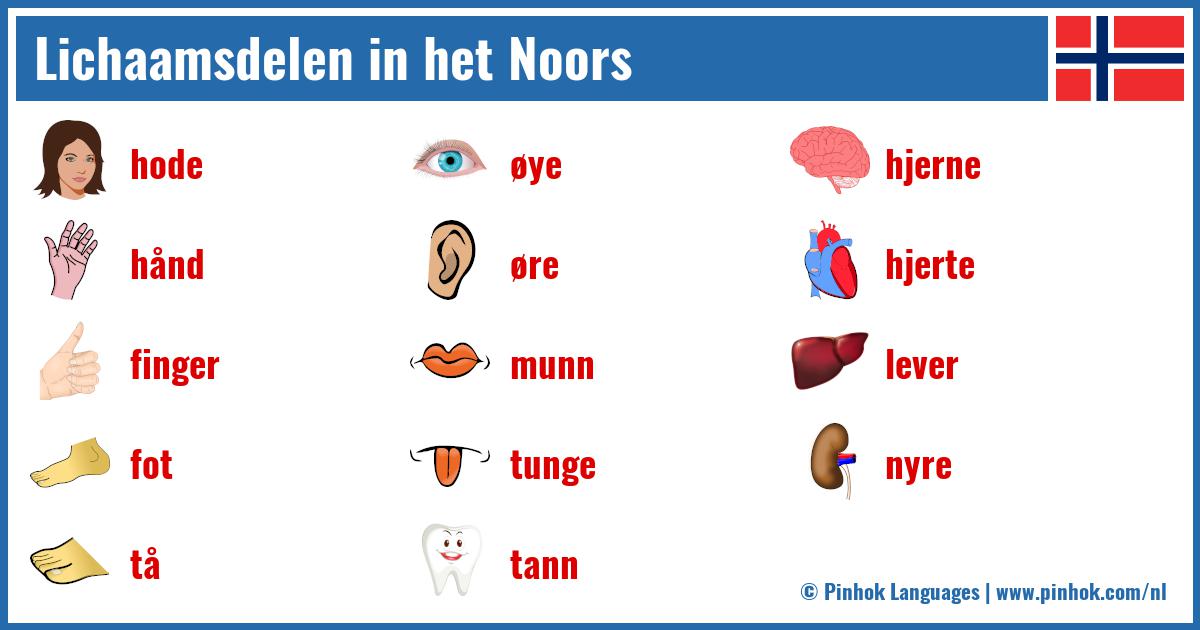 Lichaamsdelen in het Noors