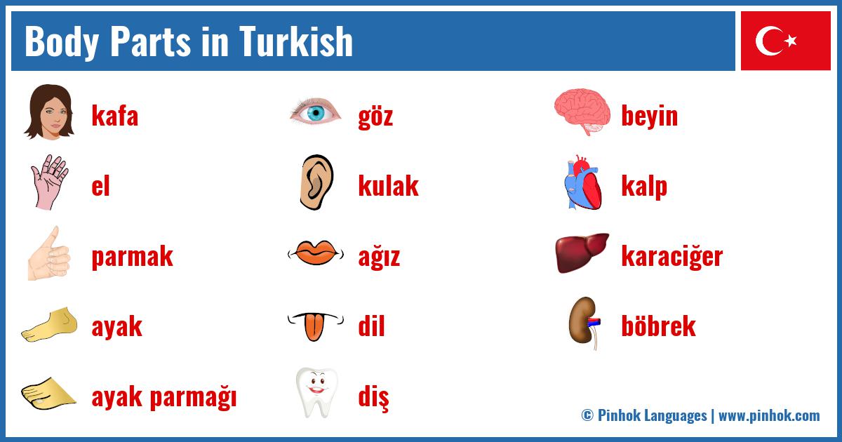 Body Parts in Turkish