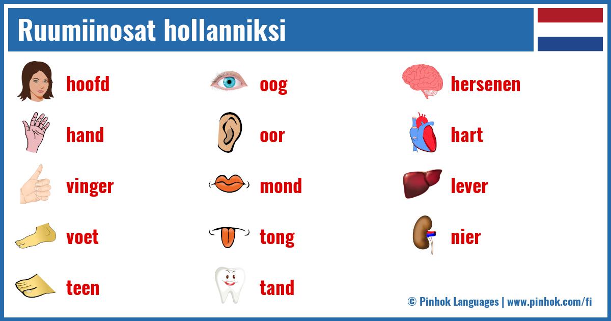 Ruumiinosat hollanniksi