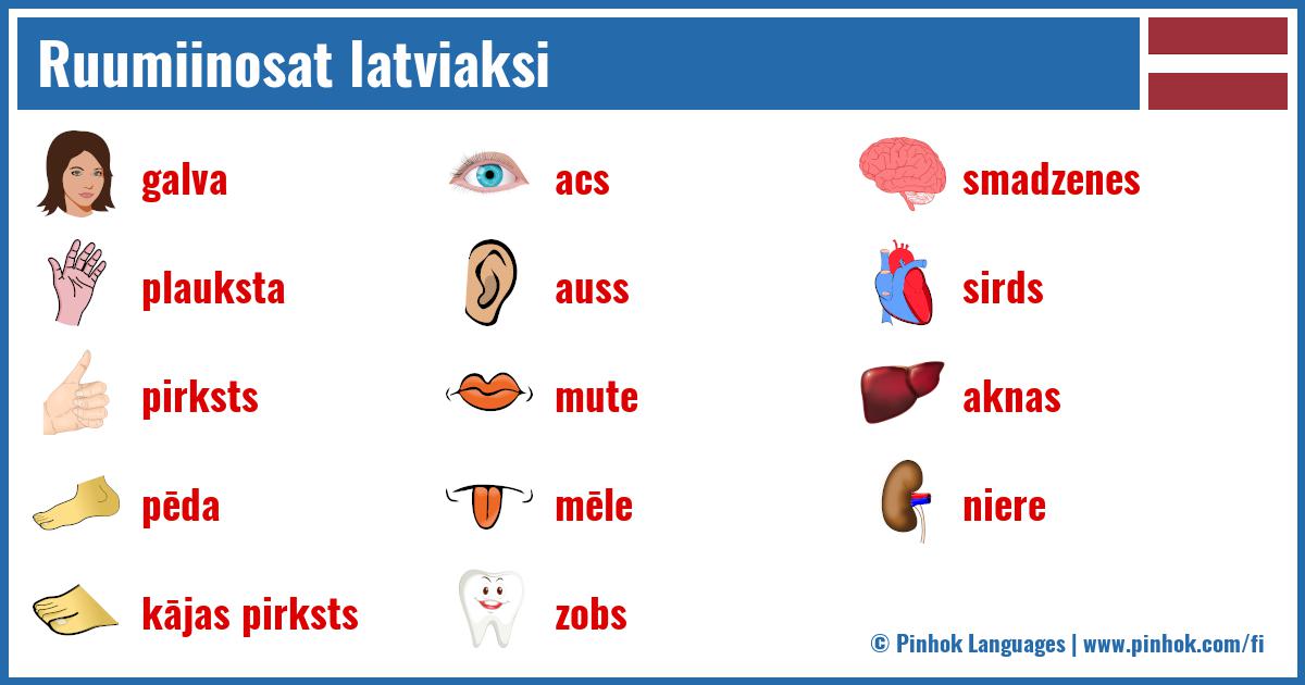 Ruumiinosat latviaksi