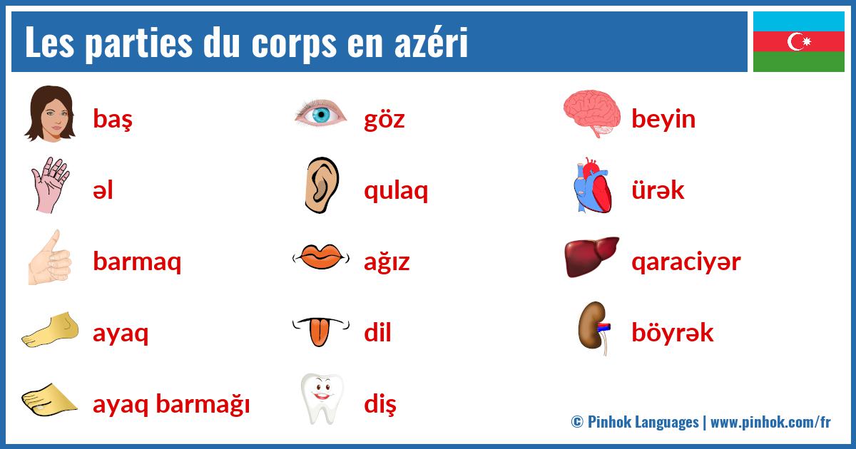 Les parties du corps en azéri