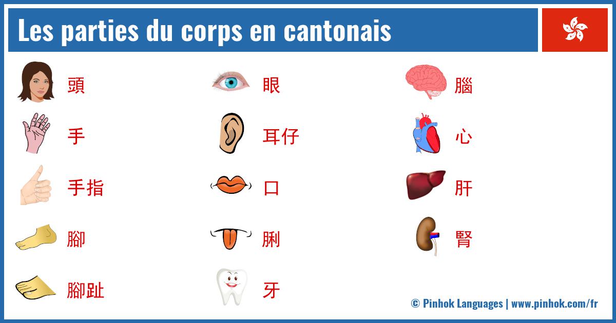 Les parties du corps en cantonais