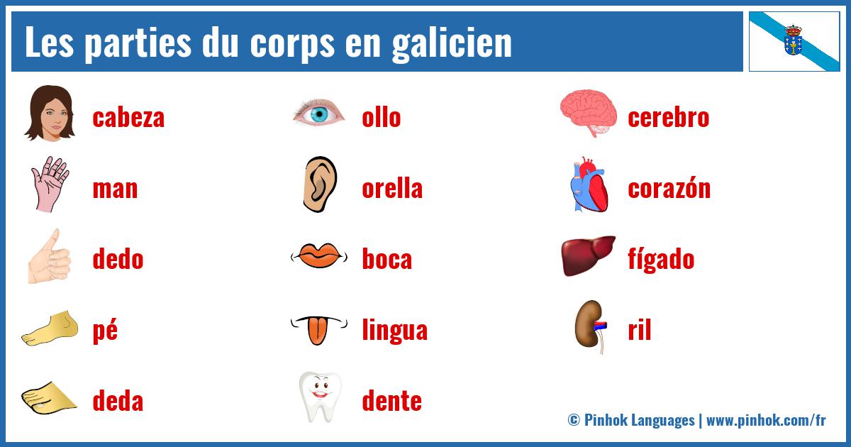 Les parties du corps en galicien