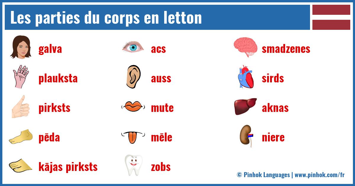 Les parties du corps en letton