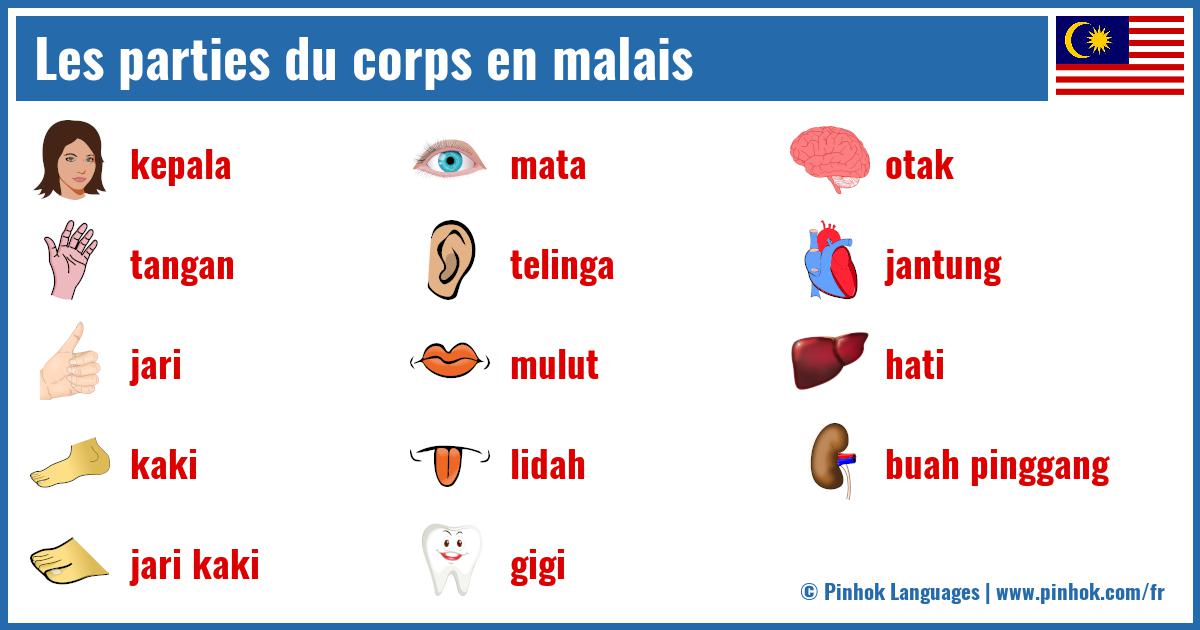 Les parties du corps en malais