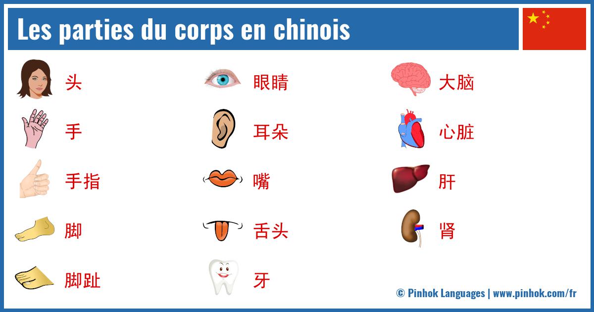 Les parties du corps en chinois