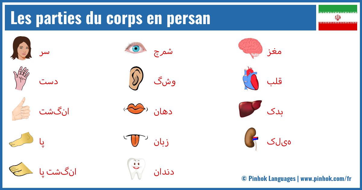 Les parties du corps en persan