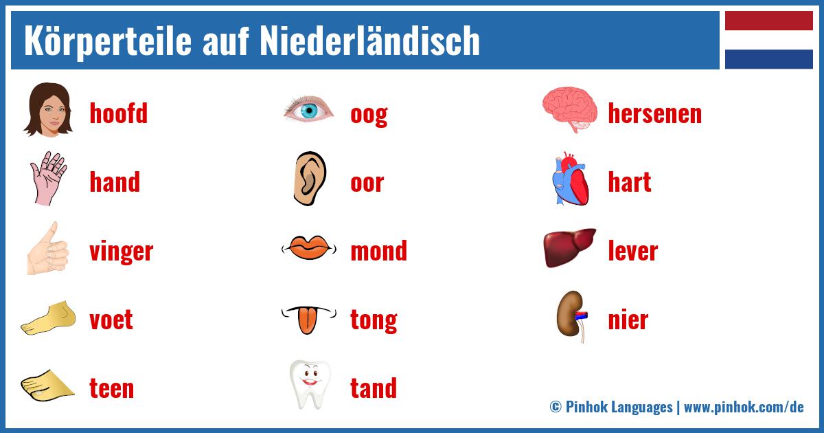 Körperteile auf Niederländisch