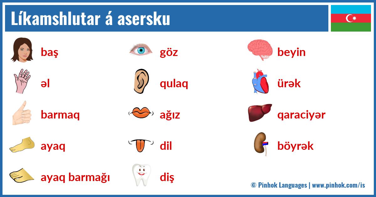 Líkamshlutar á asersku