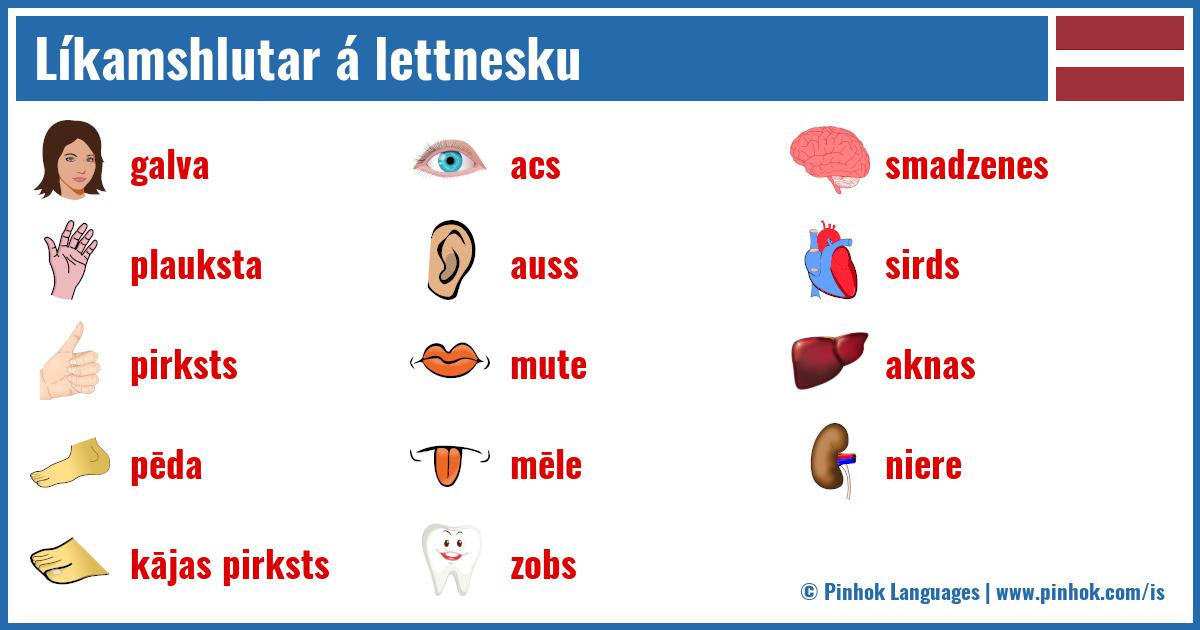 Líkamshlutar á lettnesku