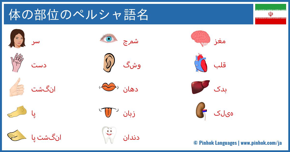 体の部位のペルシャ語名