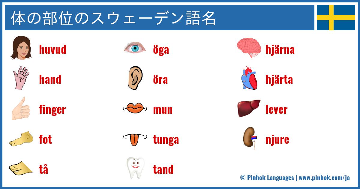 体の部位のスウェーデン語名