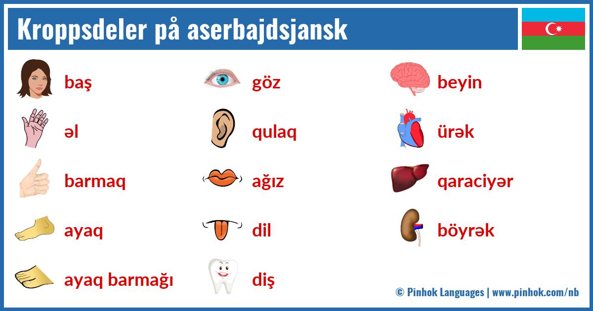 Kroppsdeler på aserbajdsjansk