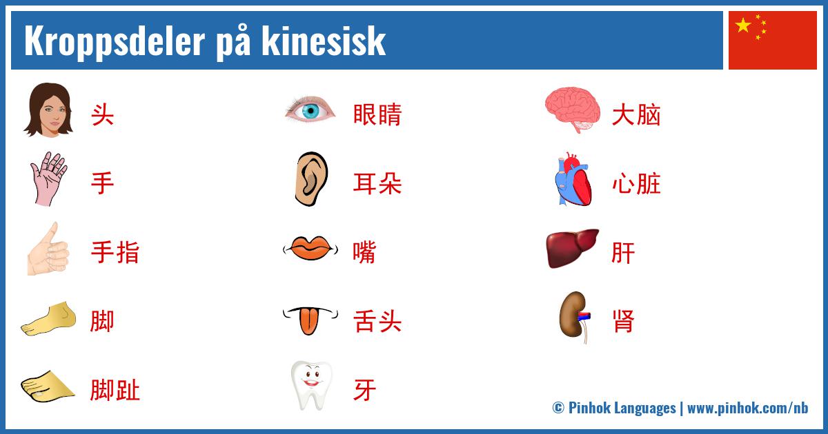 Kroppsdeler på kinesisk