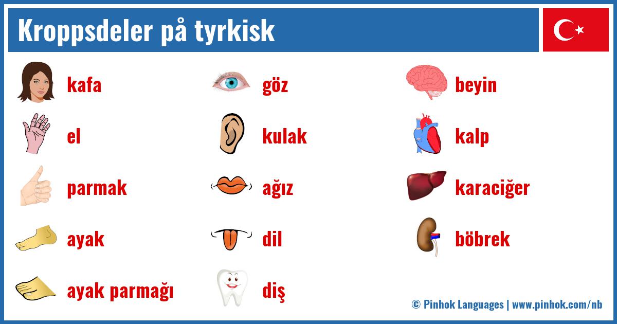 Kroppsdeler på tyrkisk